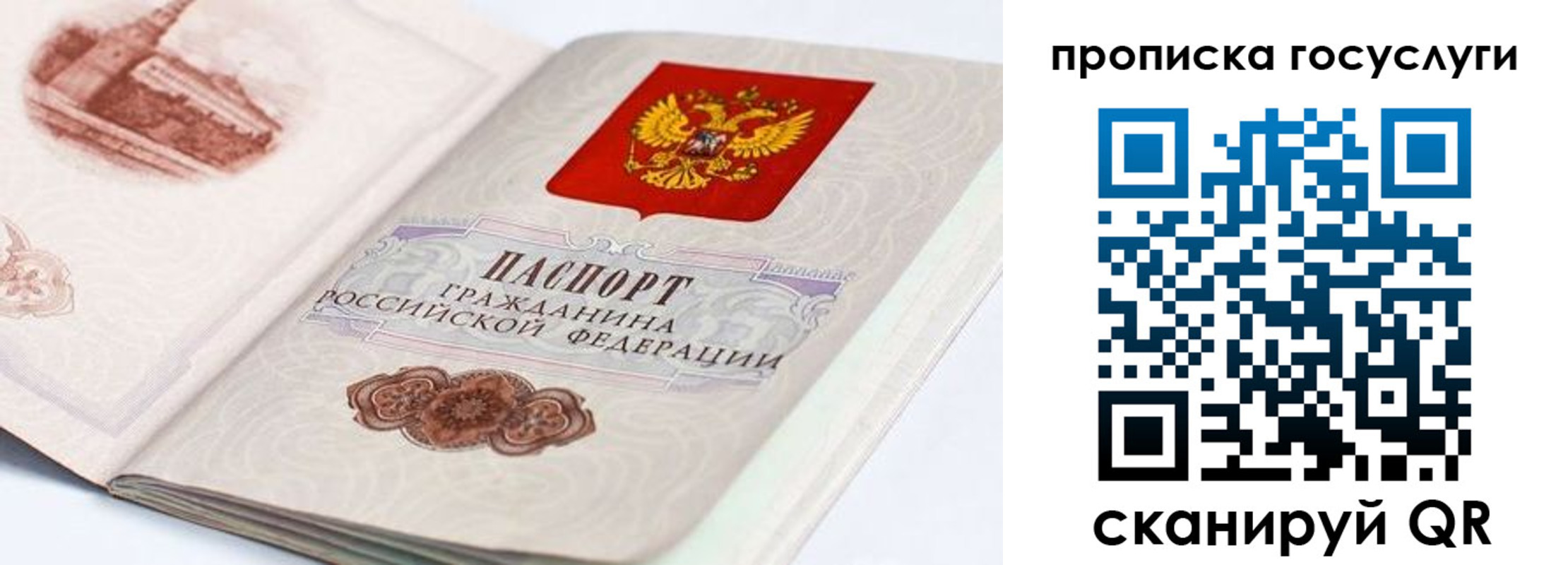 прописка гарантия в Ненецком АО